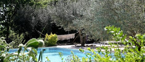 Piscine extérieure, parasols de plage, chaises longues