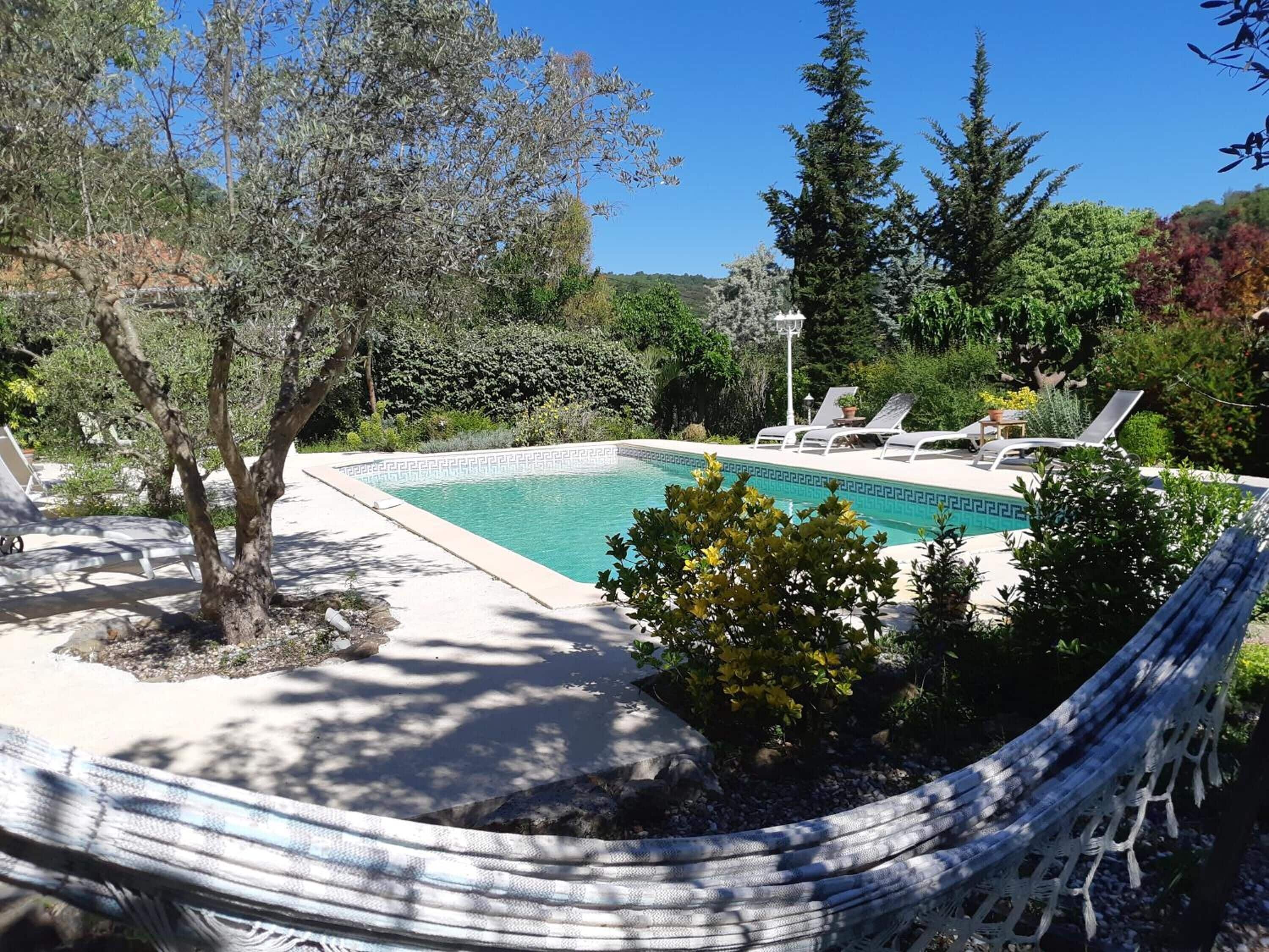 Une piscine dont le fond est recouvert de carreaux disposés selon un motif géométrique, entourée d’arbres et agrémentée d’un hamac.