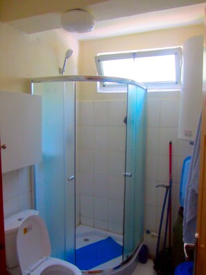 Apartment | Bathroom shower - Immaculate Apartment for rent with WIFI (Addis Ababa)