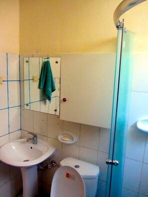 A bathroom with a sink, toilet, and glass shower enclosure. - Immaculate Apartment for rent with WIFI (Addis Ababa)