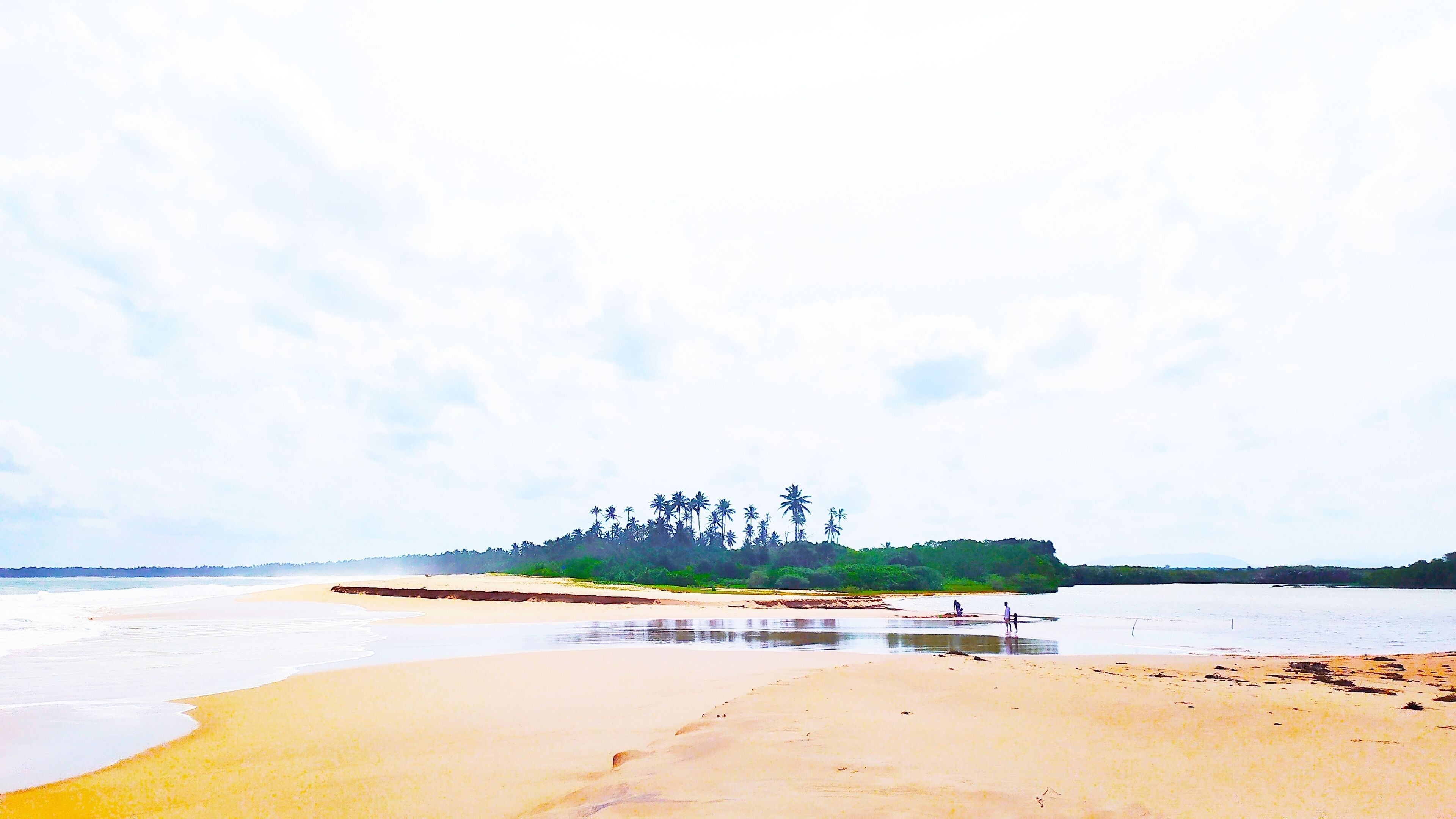 A beach with a sandy shore, calm water, and a forested hill in the background.
