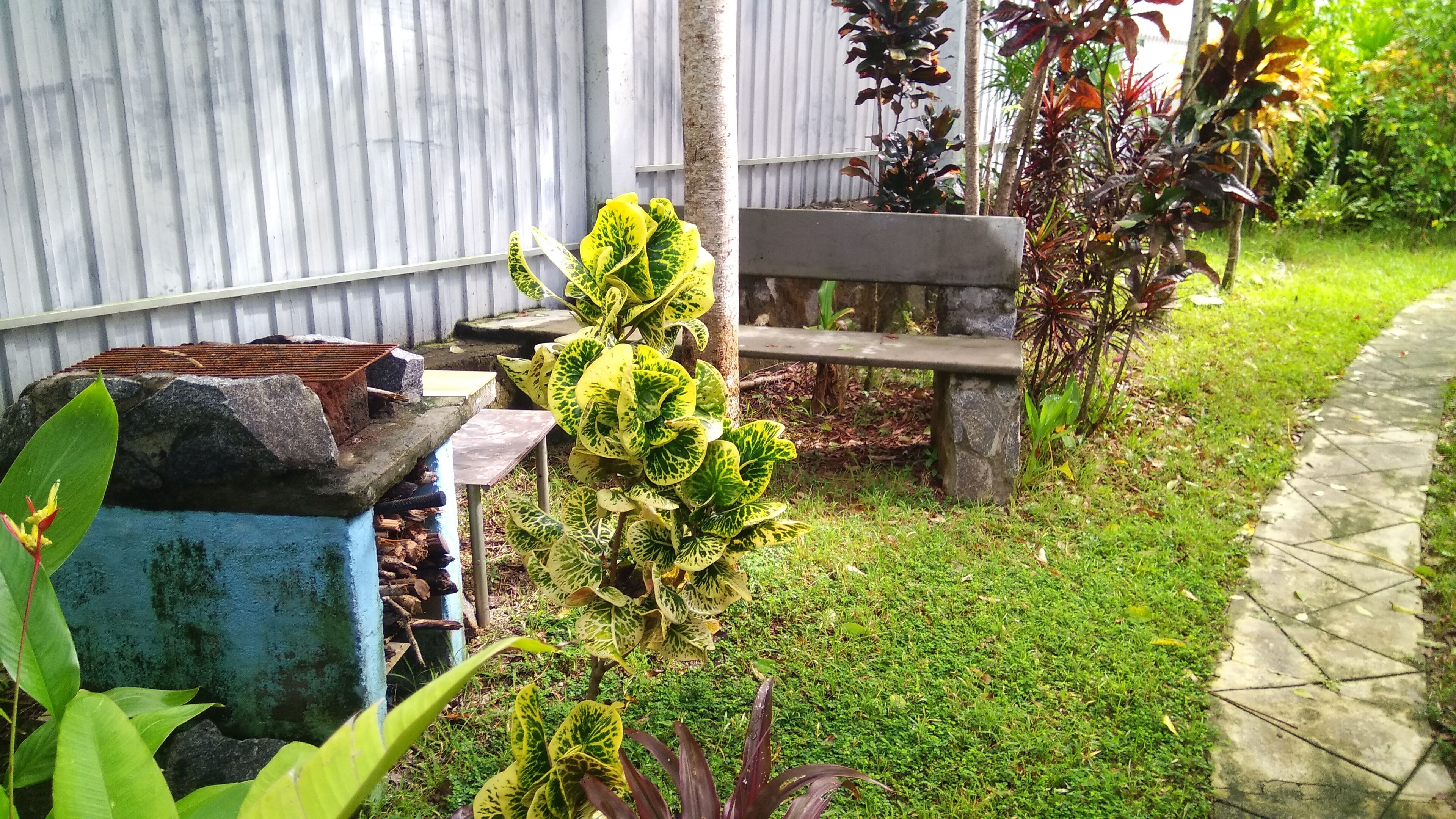 Un jardín con un banco, un cubo de basura y diversas plantas.