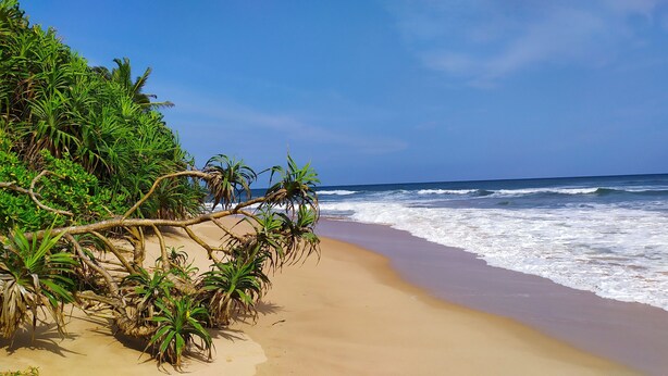 A beach with a sandy shore, waves, and dense green vegetation. - Villa Modara (Kahandamodara)