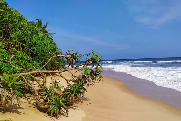 On the beach, white sand, beach umbrellas, beach towels