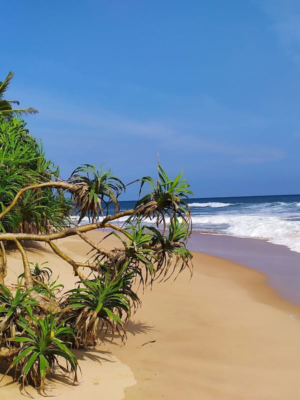 On the beach, white sand, beach umbrellas, beach towels