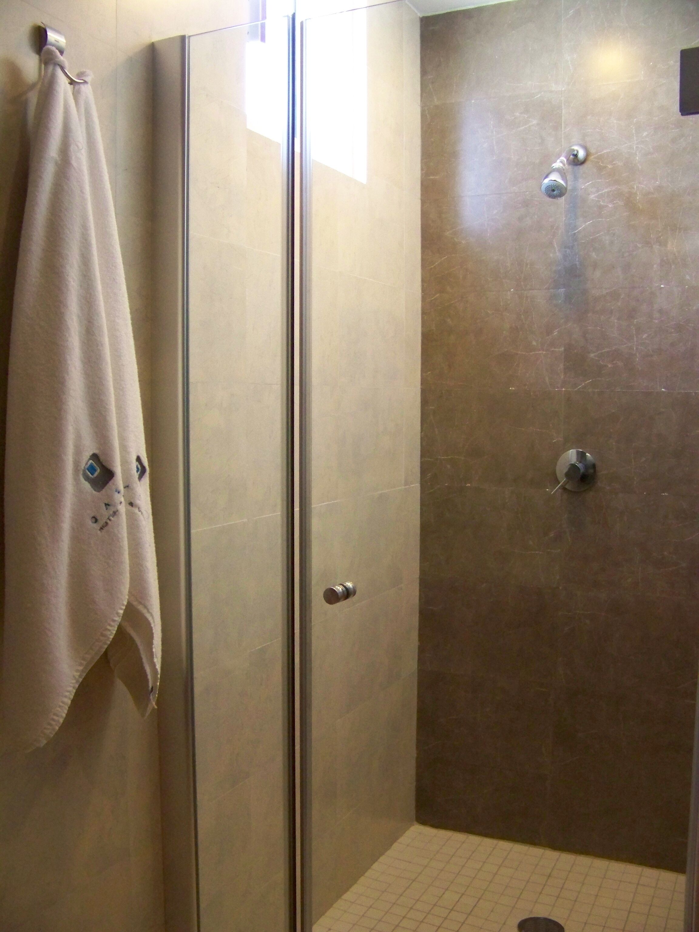 deluxe room | bathroom shower