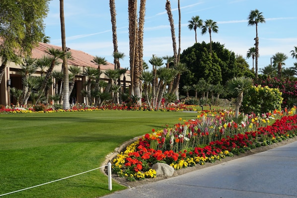 A landscaped garden with palm trees, a well-maintained lawn, and a variety of colorful flowers.