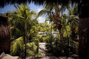 A pathway surrounded by lush tropical vegetation, leading to a pool area.