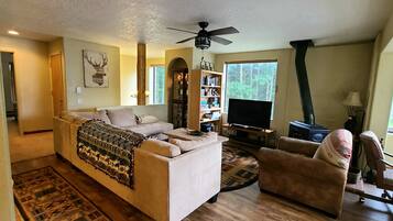 Smart TV, fireplace, DVD player, books