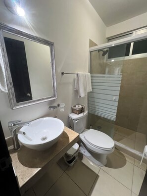 Chuveiro, secador de cabelo, toalhas de banho, papel higiênico
