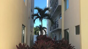 Un callejón estrecho en la ciudad, flanqueado por edificios, con una palmera y plantas de hojas rojas.