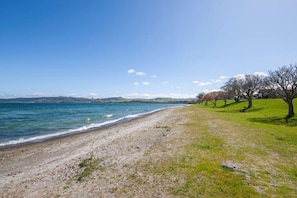 Ein Strand mit einer Rasenfläche und Bäumen.