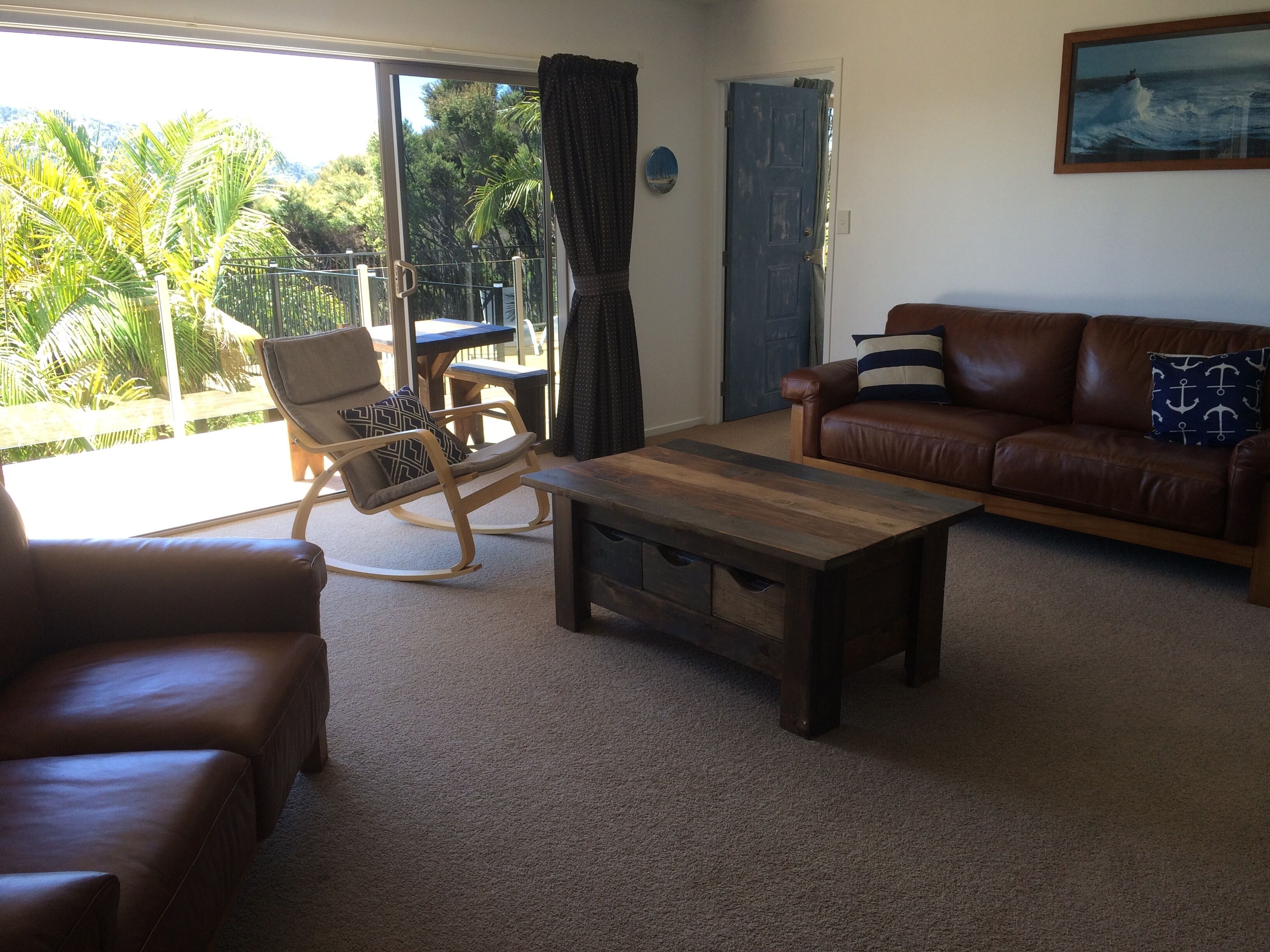 TV, DVD player, books, video library