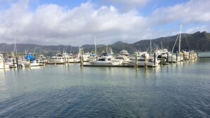 A marina with boats docked at wooden piers, calm water, and mountains in the background. - Incredible harbour views, secluded four bedroom character villa, private drive (Whangaroa)