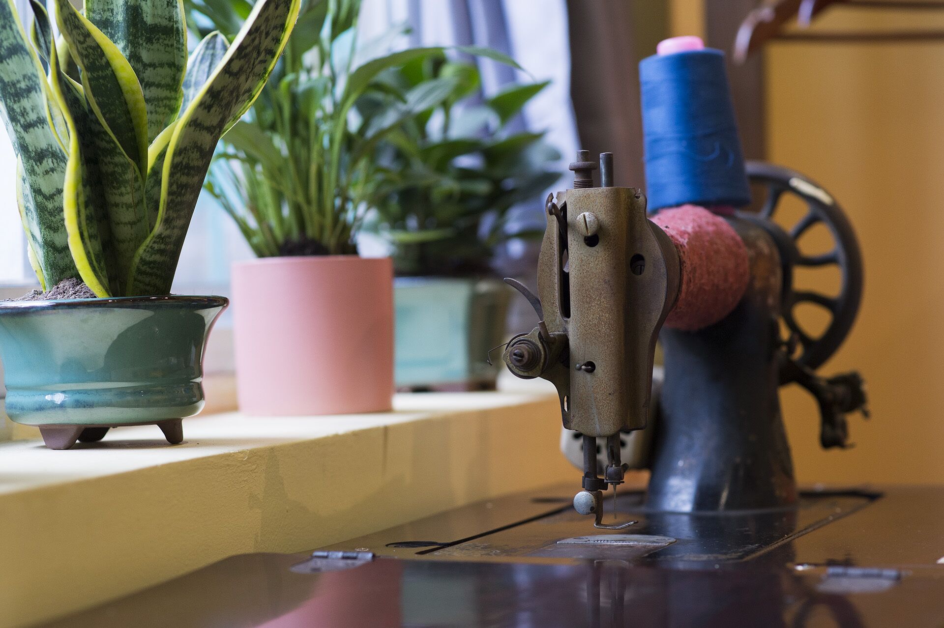 Détail de l’intérieur