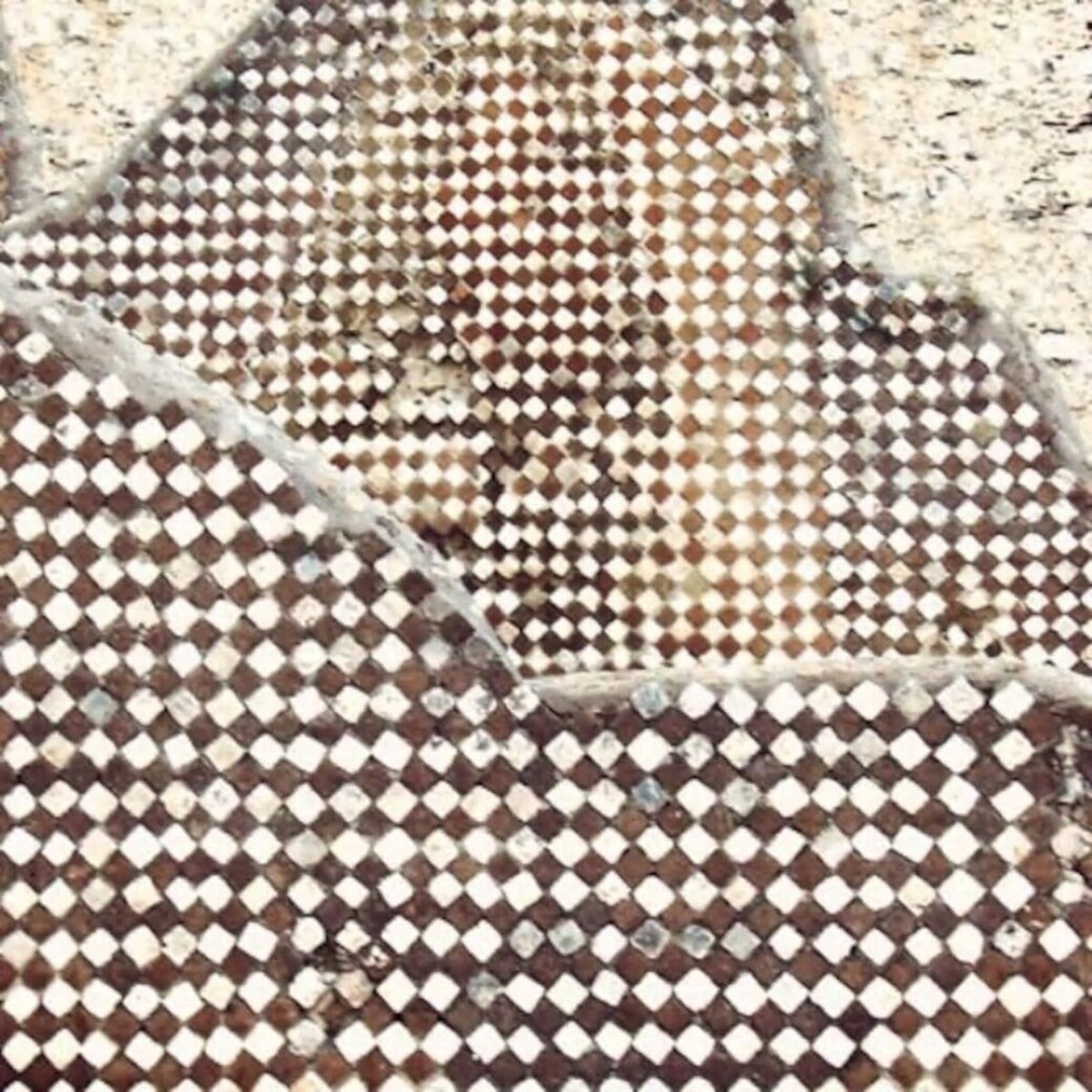 Host profile image