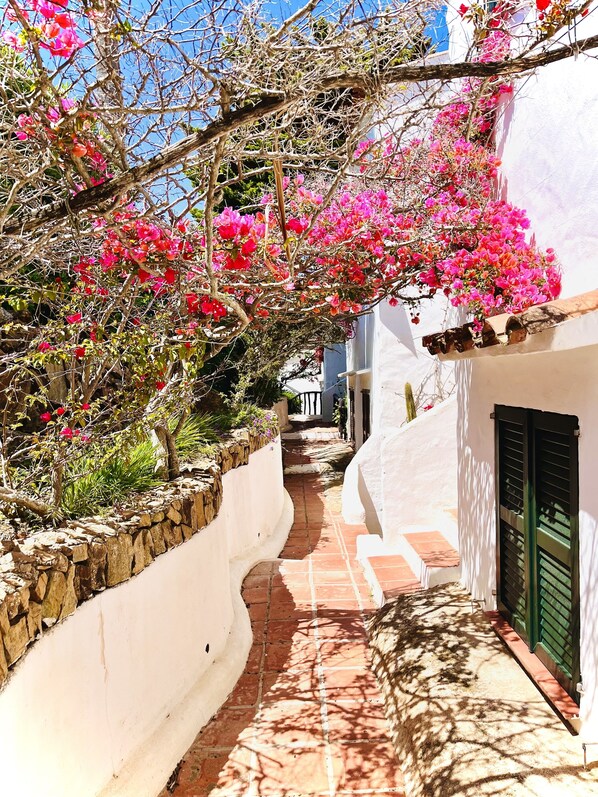Property grounds - Sa Calma Menorca, incredible views of the sea and sunsets (Playas de Fornells)