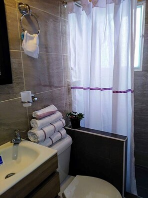 Hair dryer, soap, shampoo