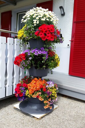 Colorful flowers adorn the entrance of this charming building.