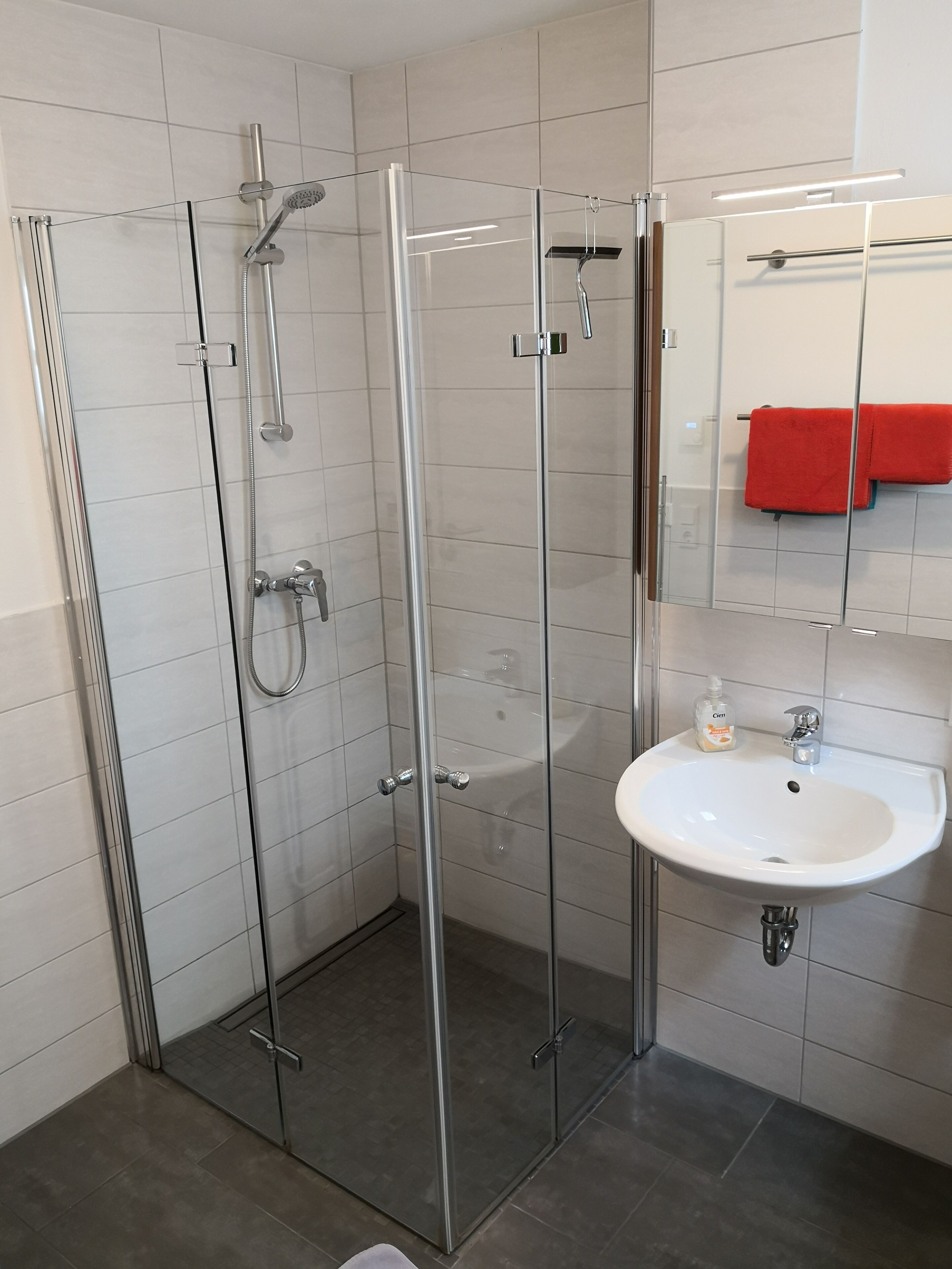 Ein modernes Badezimmer mit einer gläsernen Dusche, einem weißen Waschbecken und einem roten Handtuch an der Wand.