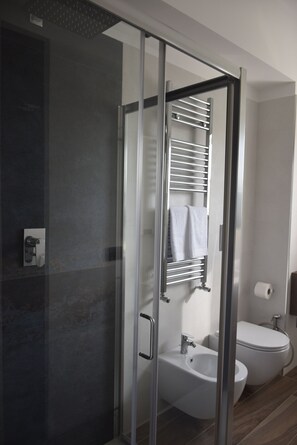Shower, hair dryer, bidet, towels