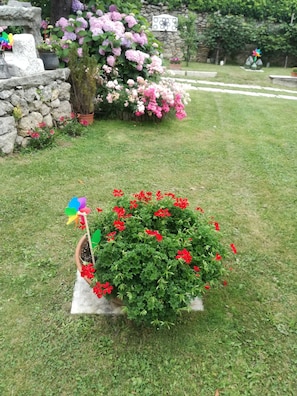 Overnattingsstedets uteområder