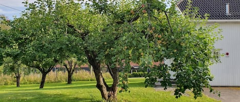 Terrain de lâhĂ©bergement