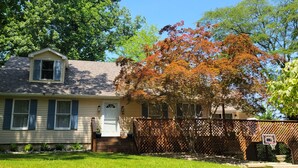 A single-story house with a front porch, a small front yard, and a basketball hoop in the backyard. - Private Basement Suite Near Rehoboth & Lewes (Rehoboth Beach)