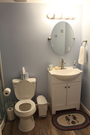 Hair dryer, towels, soap, shampoo - Private Basement Suite Near Rehoboth & Lewes (Rehoboth Beach)