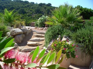 المنطقة المحيطة بالمنشأة