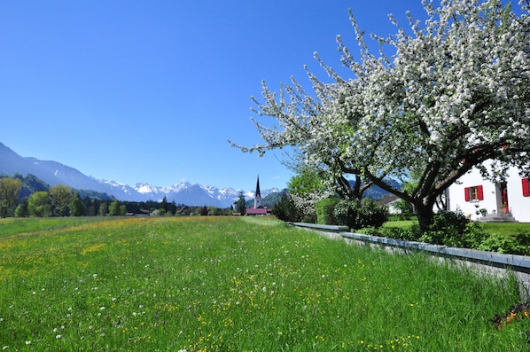 Áreas de la propiedad