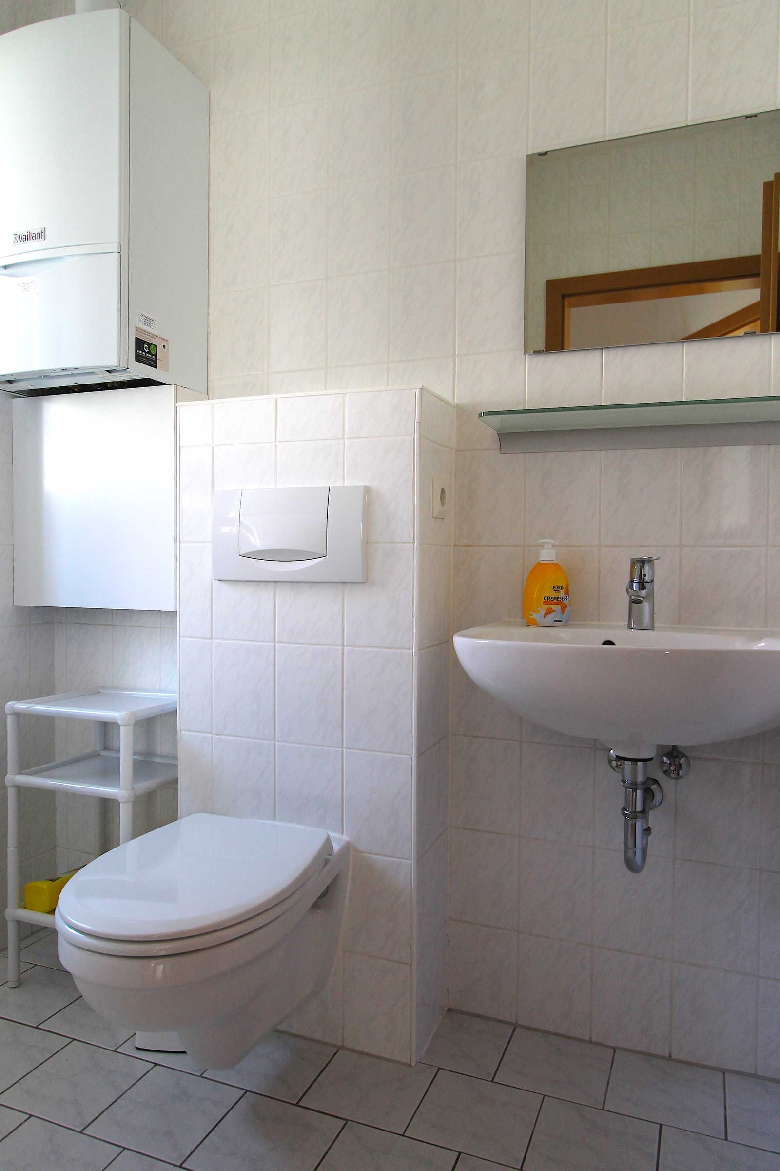 A bathroom with a toilet, a sink, and a mirror above it.