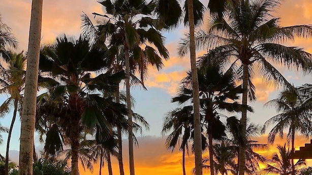 Un sendero bordeado de palmeras y vegetación exuberante, que conduce hacia un atardecer.