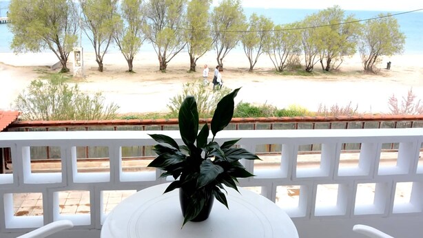 Un balcón con una maceta, sillas blancas y vistas a una playa con árboles y gente en la distancia.
