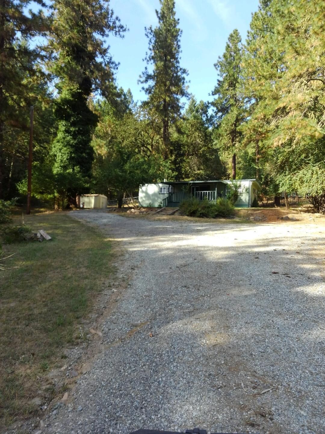 Quiet and Comfy (Zip Tye Ranch)