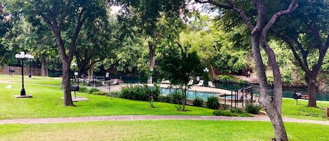 Parque con piscina, rodeado de árboles y una cerca.