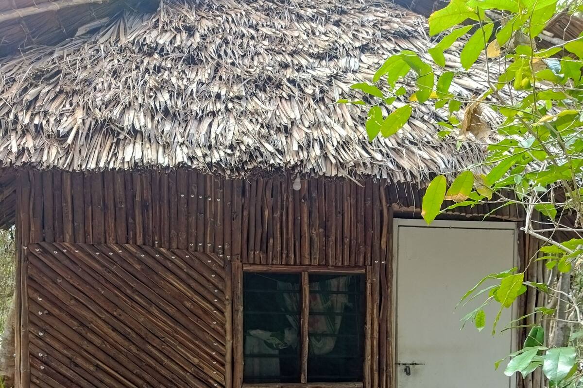 Standard-Doppelzimmer, eigenes Bad (Bush) | Blick auf den Garten