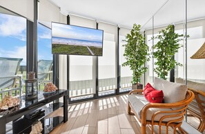 Flachbildfernseher, DVD-Player