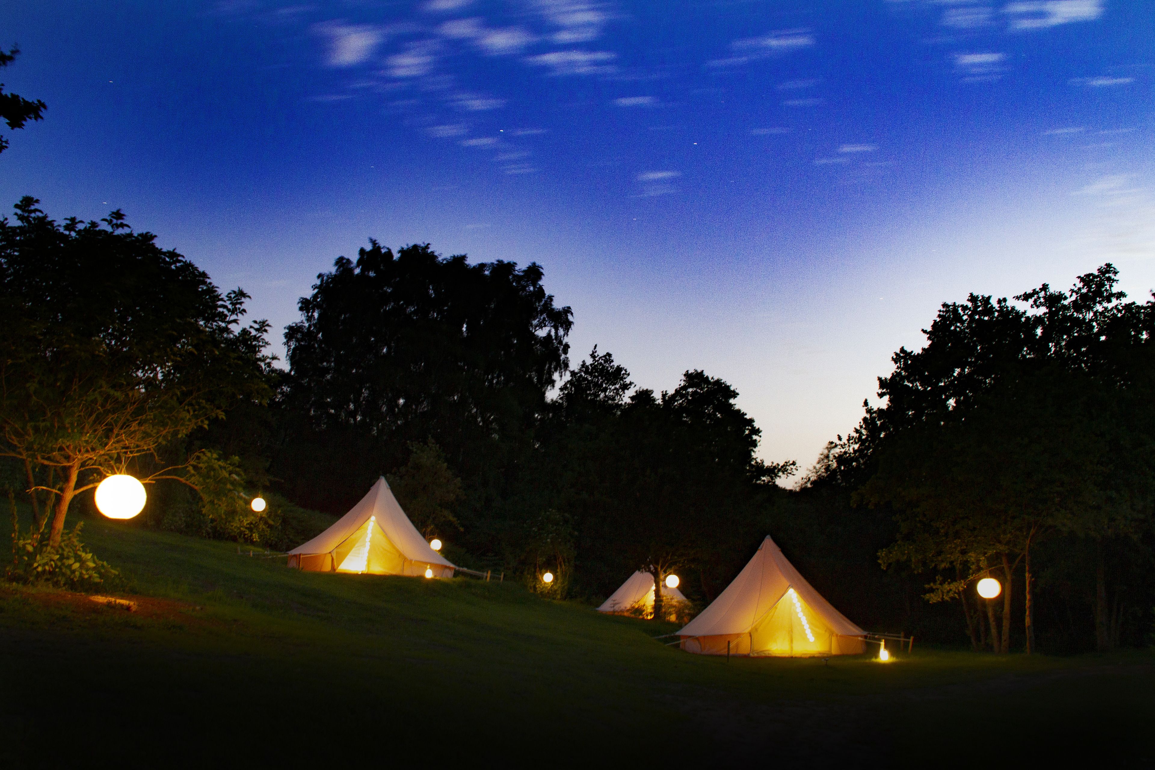 Three tents illuminated by lights in a grassy area with trees in the background.