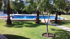 A swimming pool surrounded by palm trees and a well-maintained lawn.