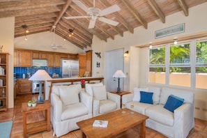 TV - WHALE WATCH - breathtaking peaceful & private villa overlooking Brewers Bay (Road Town)
