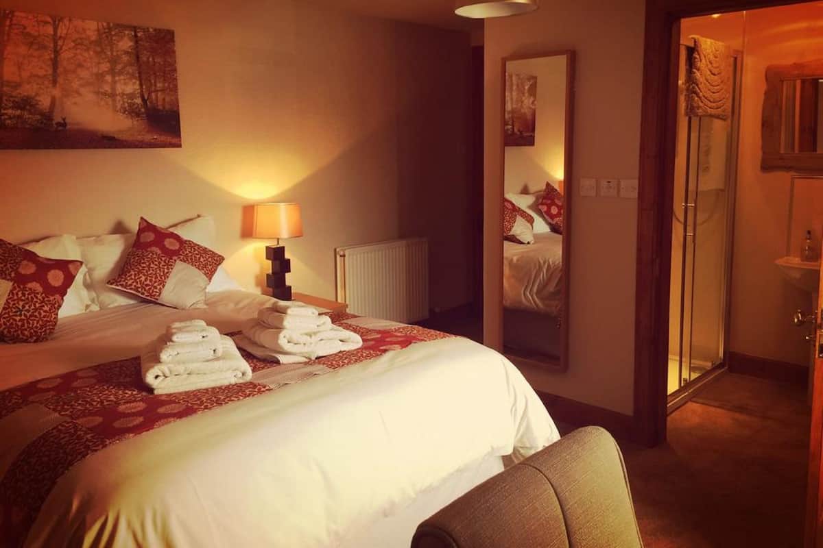 Habitación de hotel con una cama grande, una mesita de noche con lámpara, un espejo y zona de ducha.