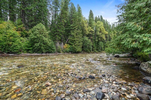 Un ruisseau aux eaux claires, parsemé de rochers et bordé d’une végétation luxuriante.