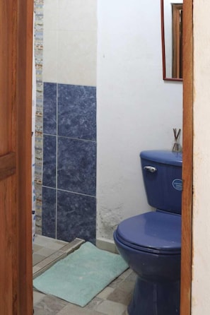 Dusche, Regendusche, Haartrockner, Handtücher