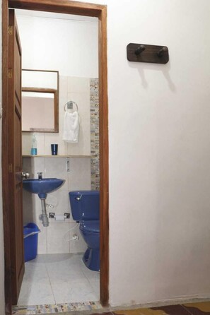 Douche, douche à « effet pluie », sèche-cheveux, serviettes fournies