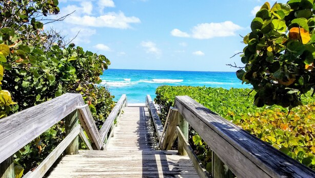 Una escalera de madera que lleva a una playa bordeada de exuberante vegetación.
