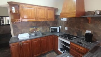 Family Apartment | Private kitchen | Full-sized fridge, microwave, oven, stovetop