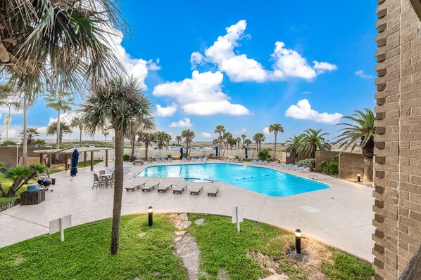 A swimming pool with lounge chairs and palm trees.