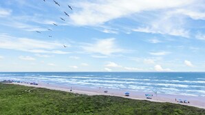 Une plage avec des vagues, des parasols et une zone herbeuse.
