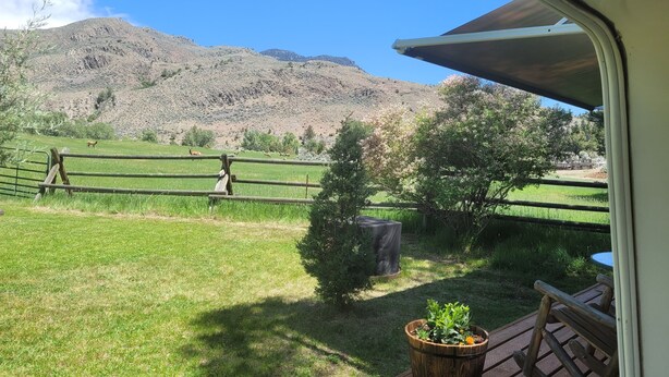 A view from a window overlooking a grassy field with a wooden fence, a small tree, and a wooden bench.